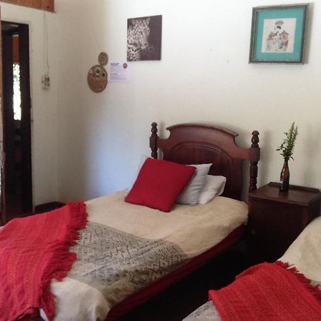 Dijembe Backpackers Lodge 斯托姆勒菲 外观 照片